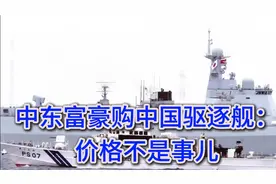 中东富豪购中国驱逐舰：价格不是事儿视频封面