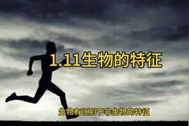 1.11生物的特征