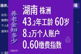 湖南株洲，工龄43.2年，个人账户8.2万，60岁退休养老金计算视频封面
