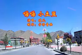 火爆全网，热播歌曲《小土豆》，DJ完整版，跟着节奏嗨起来