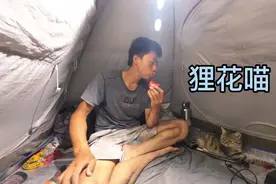 骑行西域 又扎胎了 到达民丰躲风沙 有狸花猫陪伴的时光真好！