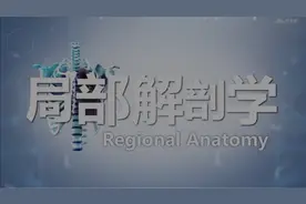 局部解剖学，颈部的分区和表面解剖视频封面