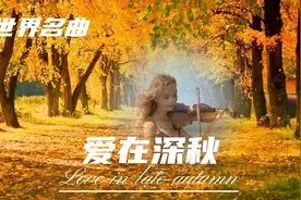 世界名曲.小提琴演奏《爱在深秋》完整版欣赏视频封面