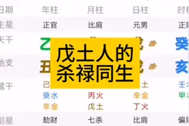 戊土人的，杀禄同生，会出社会人