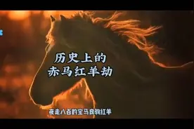 历史上的赤马红羊劫视频封面