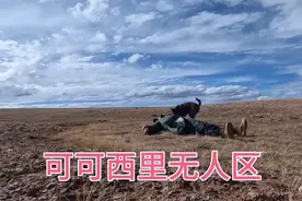 50岁小伙在可可西里无人区发现动物的身体了吓坏了视频封面