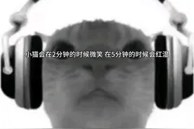 微笑与红温视频封面