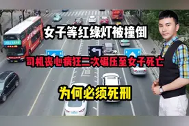 女子等红灯被撞倒！司机丧心病狂二次碾压致女子死亡！为何需死刑视频封面