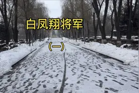 白凤翔将军（一）视频封面