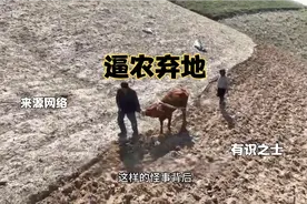 农民失去土地，成为无产者，生计没有任何保障，社会加剧动荡不安视频封面