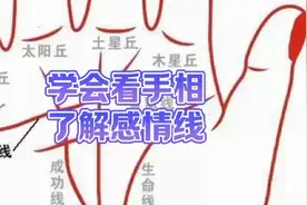 学会看手相，了解感情线视频封面