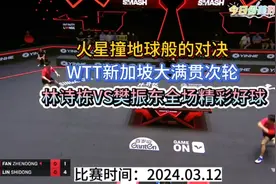 樊振东出局！林诗栋这几个反手暴击太恐怖了，乒坛没几个能顶得住视频封面