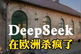deep seek  真的是太 厉 害了！视频封面