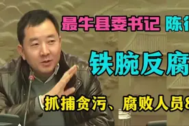 陈行甲：他是李达康原型，最牛县委书记，把8位县领导送入大牢视频封面