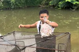大铁笼捕鱼，今天抓到了一只2斤多的野生大甲鱼，看看能卖多少钱视频封面