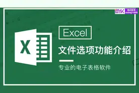 Excel文件选项功能全解析，专业电子表格软件入门指南！