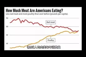 《全球人均肉类每年消费量实力王者段位排行》