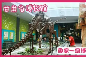 甘肃省博物馆国家一级博物馆视频封面