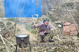 小罗将园中的枯树枝分成四类，变废为宝解，决了种菜肥料问题视频封面