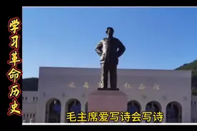 诗中成就了中国革命，化解了艰难险阻，大智慧的精彩和价值无限。视频封面