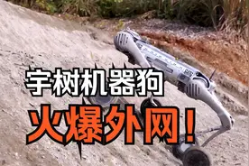 连马斯克都点赞的宇树“B2-W机器狗”，最新视频火爆外网！视频封面