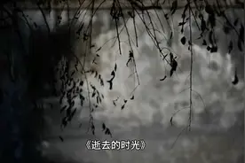 逝去的时光视频封面