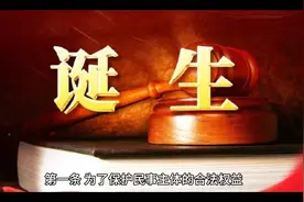 民法典 第一章 第一条 立法目的和依据视频封面