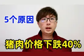 猪肉价格大降超 40%，为啥猪价“旺季不旺”？五个现实的原因