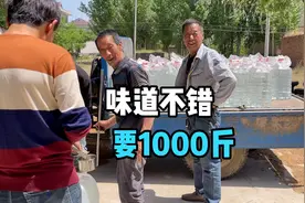 3000斤高粱酿出1000斤酒，老酒友现场接酒，品尝之后要了1000斤视频封面