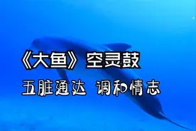 五音疗愈，调和情志，五脏通达，超实用！视频封面