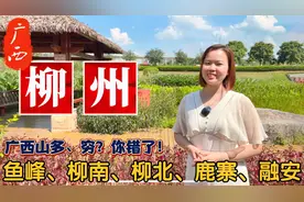 一句话介绍广西柳州市特色地名由来：城中、鱼峰、柳南、柳江区