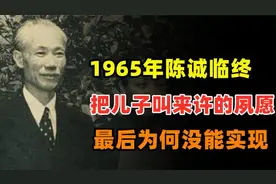 1965年陈诚临终，把儿子叫来许的夙愿，最后为何没能实现？视频封面