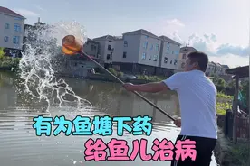 有为鱼塘的鱼生病了，买点强氯精给鱼塘消毒，叔叔在帮我割草喂鱼视频封面