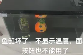 小米鱼缸坏了，拆开修修