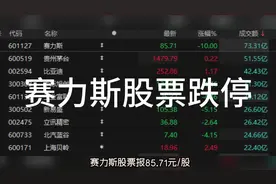 赛力斯股票跌停