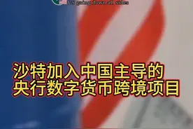 沙特加入国际清算银行中国主导的央行数字货币跨境项目视频封面