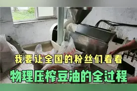 现场录制物理压榨豆油的全过程，让我的粉丝们看个清清楚楚