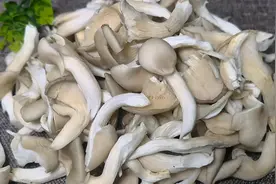 厨师长教你平菇的家常做法，方法简单，步骤详细，鲜嫩入味又好吃视频封面