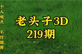 老头子3D第219期