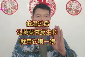 温度低如何让蔬菜快速恢复生长？就用它喷一喷，露地大棚都实用视频封面
