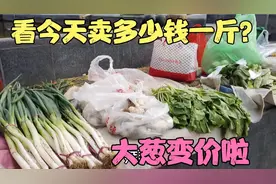 山东大葱变价啦，今天去集市，看看大葱卖多少钱一斤？集市人真多
