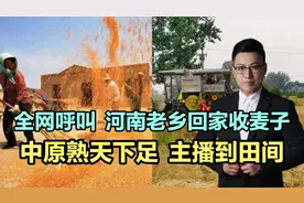 全网呼叫，河南老乡回家收麦子！中原熟天下足，主播到田间视频封面
