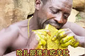 哈扎部落生吃羊肚，看了你有食欲吗视频封面