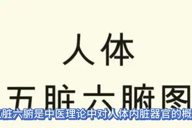 人体五脏六腑视频封面