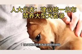 人大代表：建议统一公布禁养大型犬名录视频封面