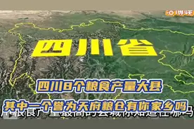 四川粮食产量大县揭晓，八大粮食大县有你家么？视频封面