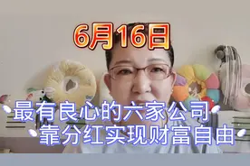 最有良心的六家公司 靠分红实现财富自由视频封面