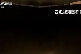 天使马桶人视角视频封面