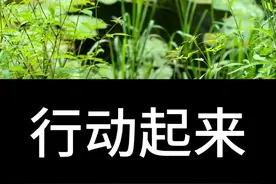减轻儿女负担不给国家添麻烦自学知识健康就昰财富一起学起来