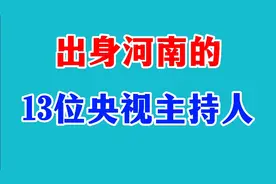 河南出身的十三位央视主持人视频封面